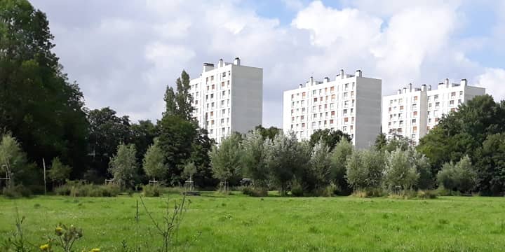 Immeubles et verdure