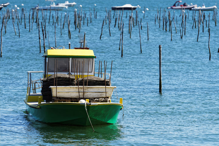 Bateau de pêche